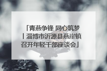 青燕争锋 同心筑梦丨淄博市沂源县燕崖镇召开年轻干部座谈会