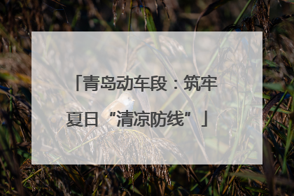 青岛动车段：筑牢夏日“清凉防线”