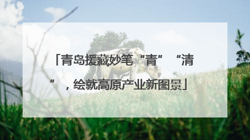 青岛援藏妙笔“青”“清”，绘就高原产业新图景