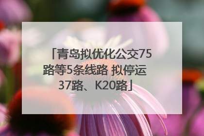 青岛拟优化公交75路等5条线路 拟停运37路、K20路