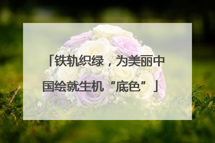 铁轨织绿，为美丽中国绘就生机“底色”