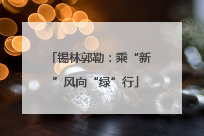锡林郭勒：乘“新”风向“绿”行