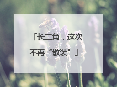 长三角，这次不再“散装”