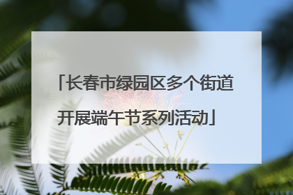 长春市绿园区多个街道开展端午节系列活动