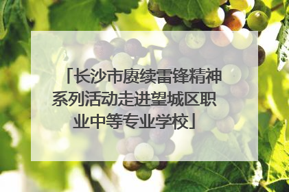 长沙市赓续雷锋精神系列活动走进望城区职业中等专业学校