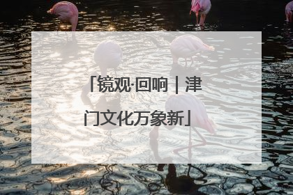 镜观·回响｜津门文化万象新