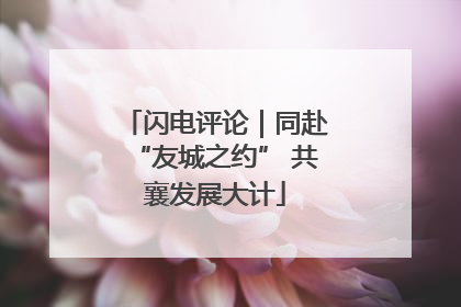闪电评论｜同赴“友城之约” 共襄发展大计