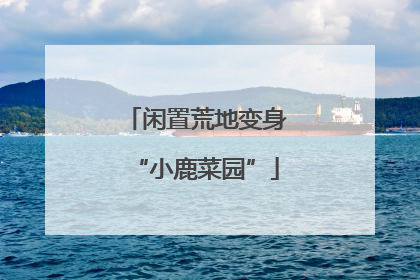 闲置荒地变身“小鹿菜园”