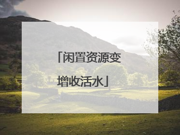 闲置资源变增收活水
