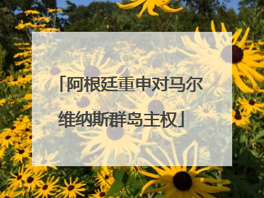 阿根廷重申对马尔维纳斯群岛主权