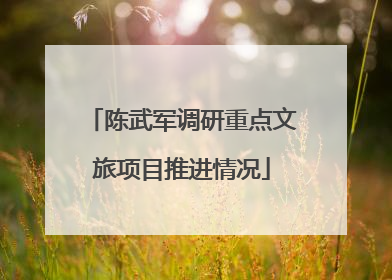 陈武军调研重点文旅项目推进情况