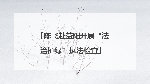 陈飞赴益阳开展“法治护绿”执法检查