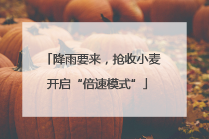 降雨要来，抢收小麦开启“倍速模式”