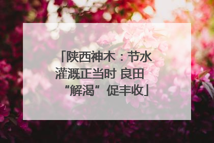 陕西神木：节水灌溉正当时 良田“解渴”促丰收