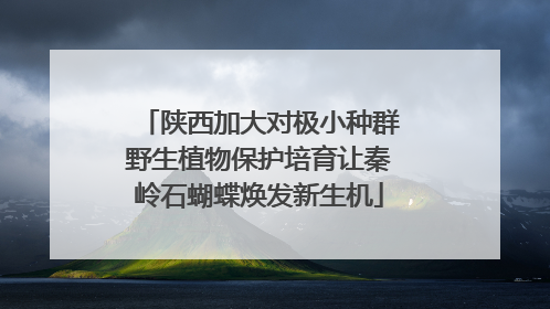 陕西加大对极小种群野生植物保护培育让秦岭石蝴蝶焕发新生机