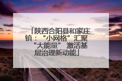 陕西合阳县和家庄镇：“小网格”汇聚“大能量” 激活基层治理新动能