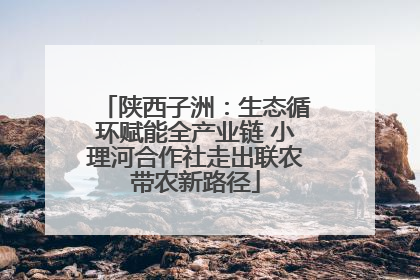 陕西子洲：生态循环赋能全产业链 小理河合作社走出联农带农新路径