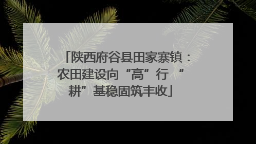 陕西府谷县田家寨镇：农田建设向“高”行 “耕”基稳固筑丰收