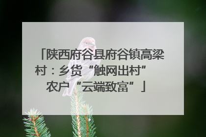 陕西府谷县府谷镇高梁村：乡货“触网出村” 农户“云端致富”