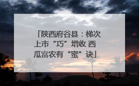 陕西府谷县：梯次上市“巧”增收 西瓜富农有“蜜”诀