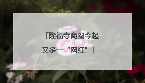 隆福寺商圈今起又多一“网红”