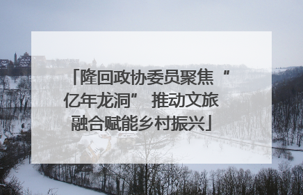 隆回政协委员聚焦“亿年龙洞” 推动文旅融合赋能乡村振兴