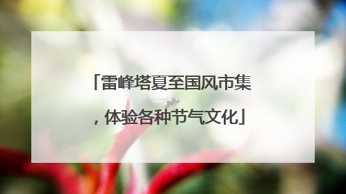 雷峰塔夏至国风市集，体验各种节气文化