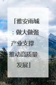 雅安雨城：做大做强产业支撑 推动高质量发展