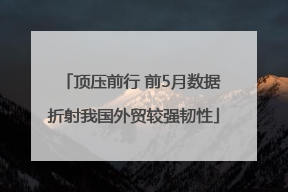 顶压前行 前5月数据折射我国外贸较强韧性