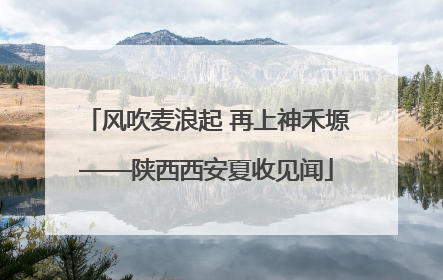 风吹麦浪起 再上神禾塬——陕西西安夏收见闻