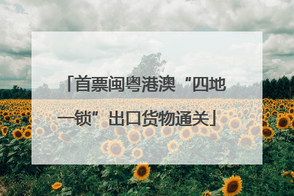 首票闽粤港澳“四地一锁”出口货物通关