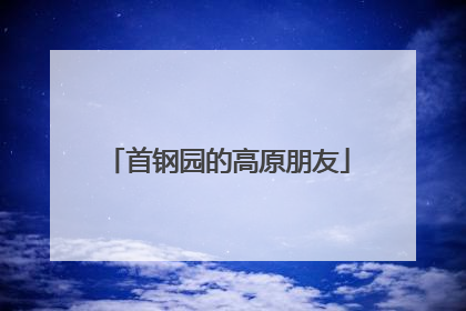 首钢园的高原朋友