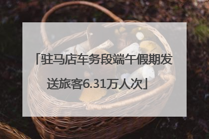 驻马店车务段端午假期发送旅客6.31万人次