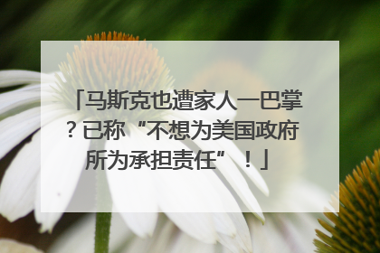 马斯克也遭家人一巴掌？已称“不想为美国政府所为承担责任”！