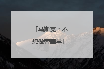 马斯克：不想做替罪羊
