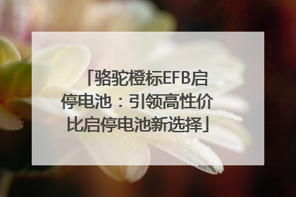骆驼橙标EFB启停电池：引领高性价比启停电池新选择
