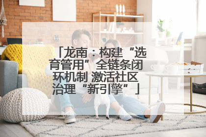 龙南：构建“选育管用”全链条闭环机制 激活社区治理“新引擎”