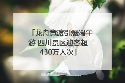 龙舟竞渡引爆端午游 四川景区迎客超430万人次
