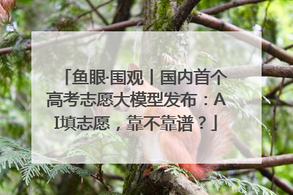 鱼眼·围观丨国内首个高考志愿大模型发布：AI填志愿，靠不靠谱？