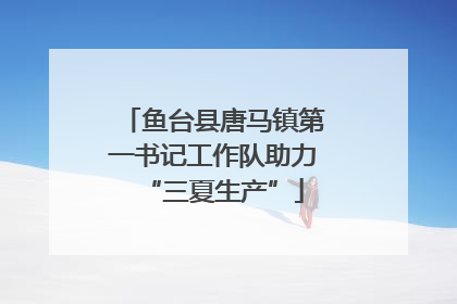 鱼台县唐马镇第一书记工作队助力“三夏生产”