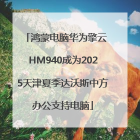 鸿蒙电脑华为擎云 HM940成为2025天津夏季达沃斯中方办公支持电脑