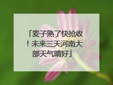 麦子熟了快抢收！未来三天河南大部天气晴好