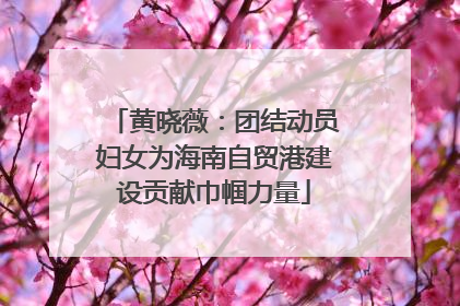 黄晓薇：团结动员妇女为海南自贸港建设贡献巾帼力量