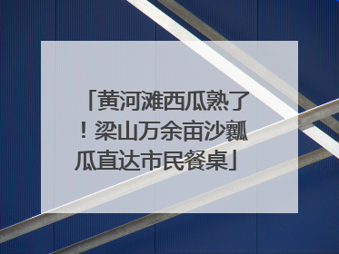 黄河滩西瓜熟了！梁山万余亩沙瓤瓜直达市民餐桌
