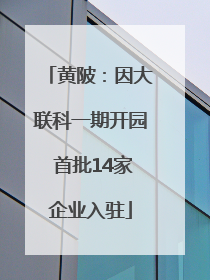 黄陂：因大联科一期开园 首批14家企业入驻