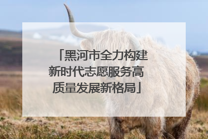 黑河市全力构建新时代志愿服务高质量发展新格局
