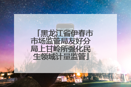 黑龙江省伊春市市场监管局友好分局上甘岭所强化民生领域计量监管