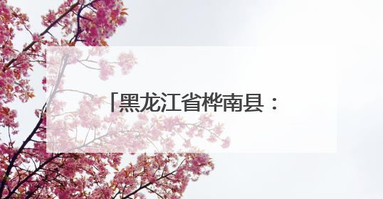 黑龙江省桦南县：木耳大棚里的丰收盛景与共富之路