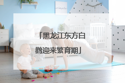 黑龙江东方白鹳迎来繁育期