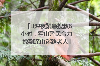 ﻿深夜紧急搜救6小时，霍山警民合力找到深山迷路老人